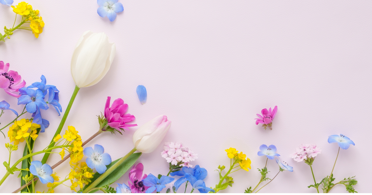 3月・4月の医院からのお知らせ