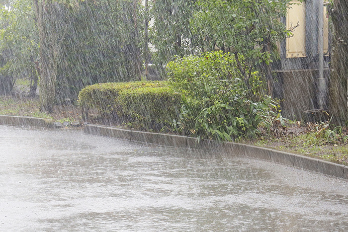 ゲリラ豪雨